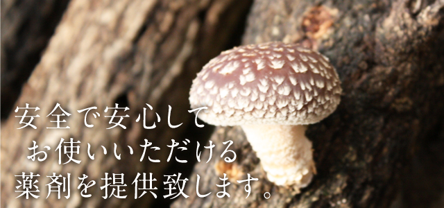 きのこ類生産資材